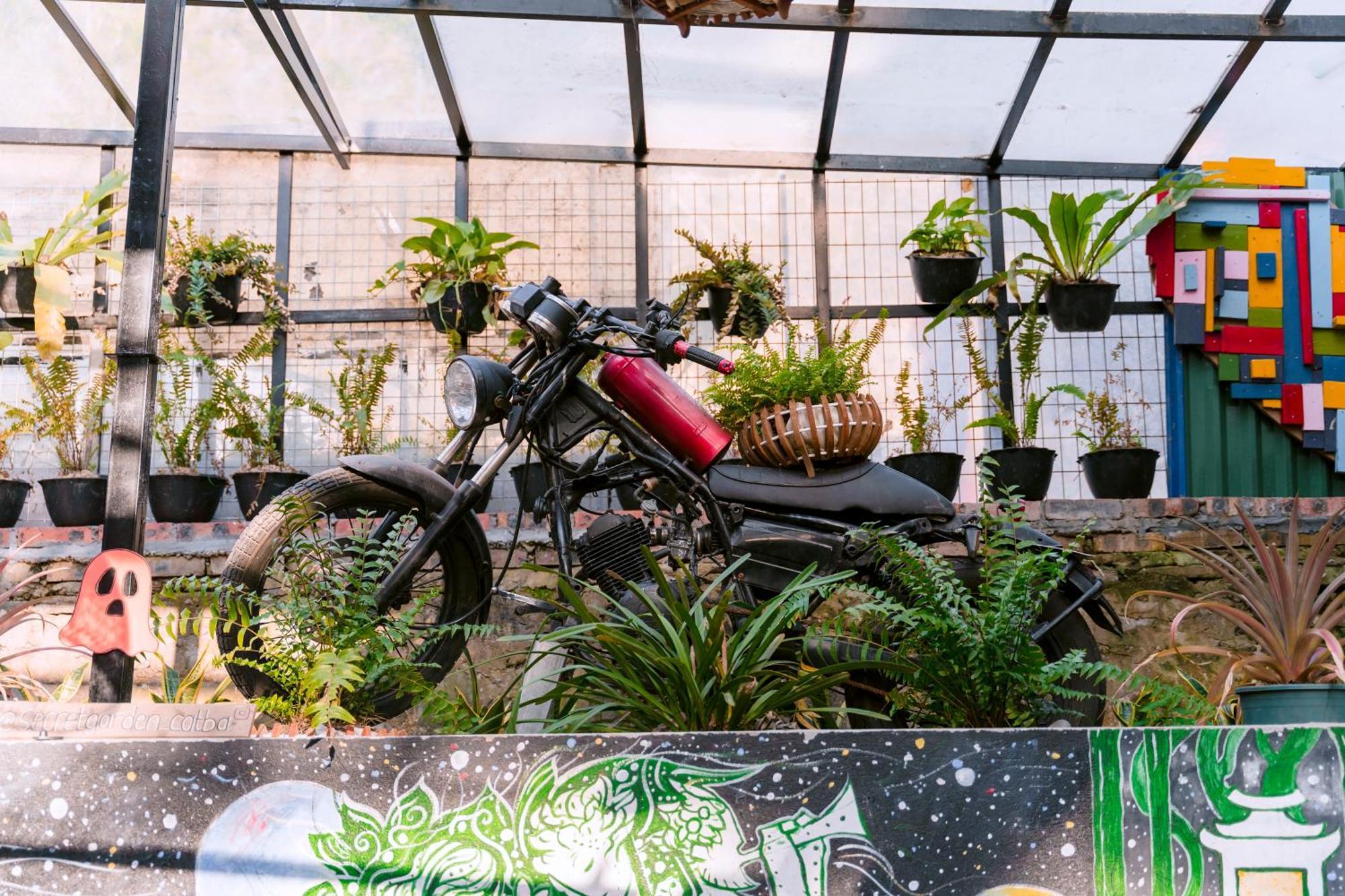 Hostel Secret Garden Cat Ba Dong Khe Sau Zewnętrze zdjęcie